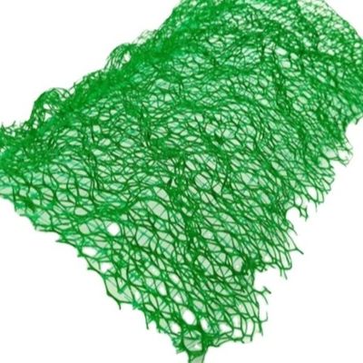 Zusätzliche Technik verstärktes Material 3D Geomat Geonet