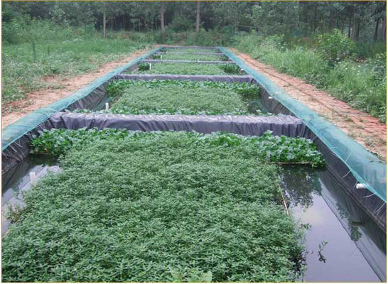 Fisch-Teich-treffen undurchlässige HDPE Geomembrane-Zwischenlage im Bauernhof-Bau zu
